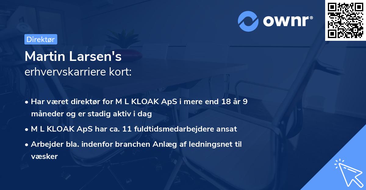 Martin Larsen's erhvervskarriere kort