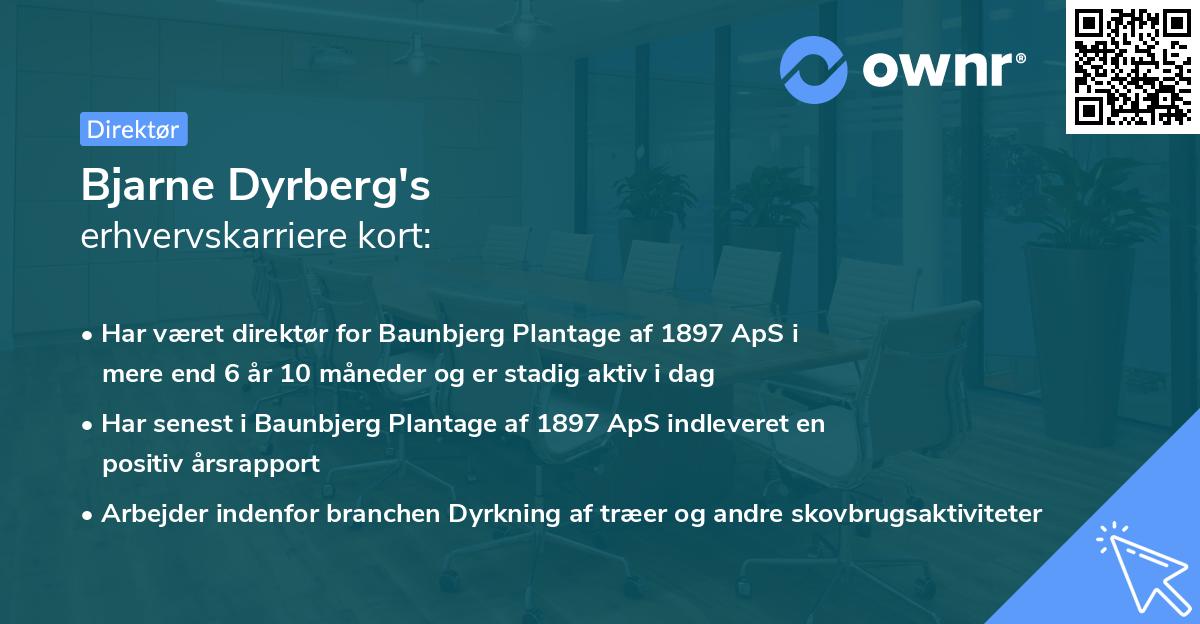 Bjarne Dyrberg's erhvervskarriere kort