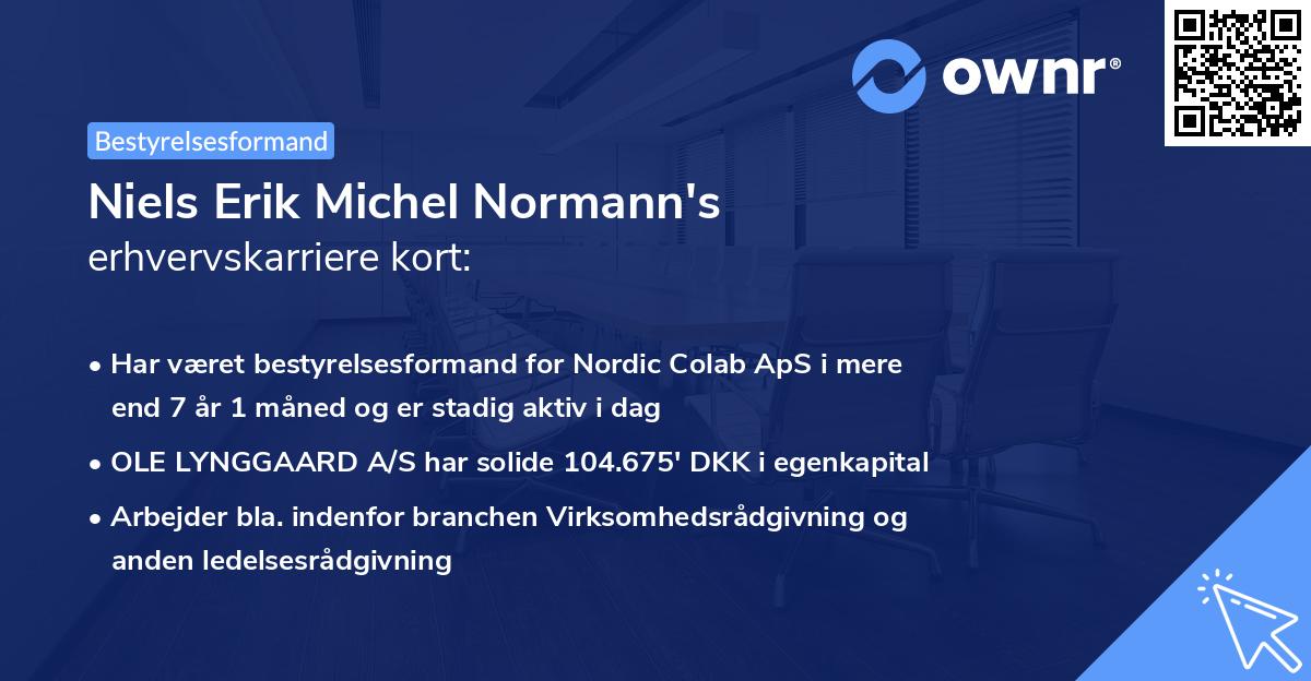 Niels Erik Michel Normann's erhvervskarriere kort
