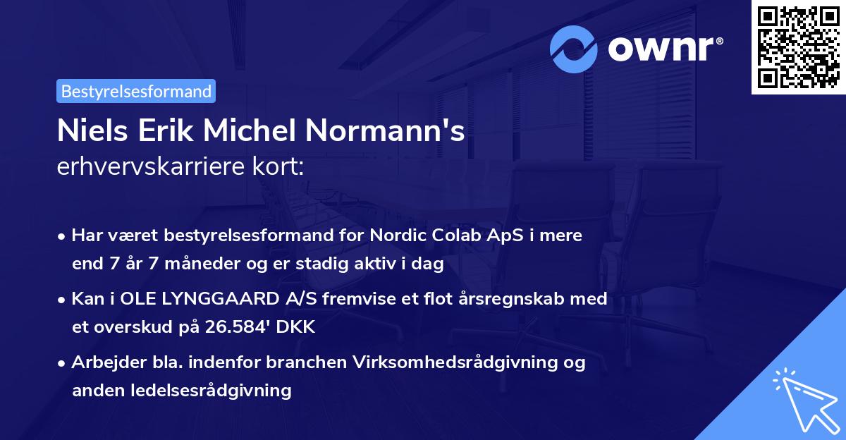 Niels Erik Michel Normann's erhvervskarriere kort