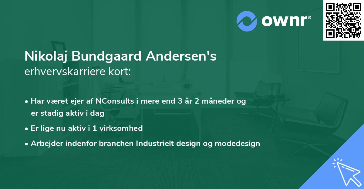 Nikolaj Bundgaard Andersen's erhvervskarriere kort