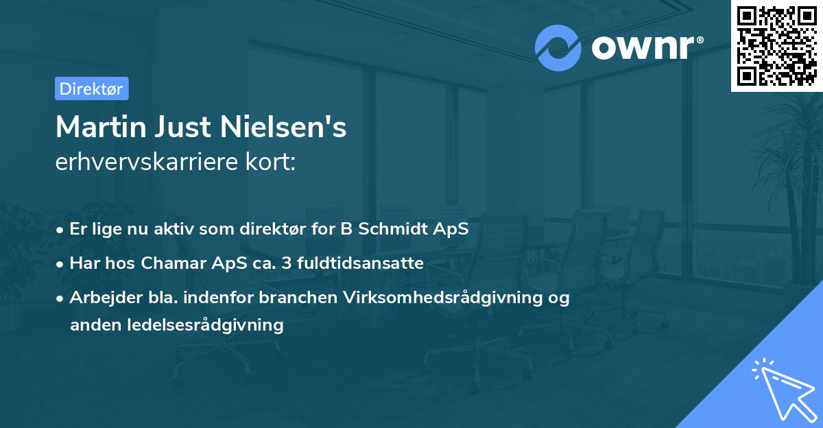 Martin Just Nielsen's erhvervskarriere kort