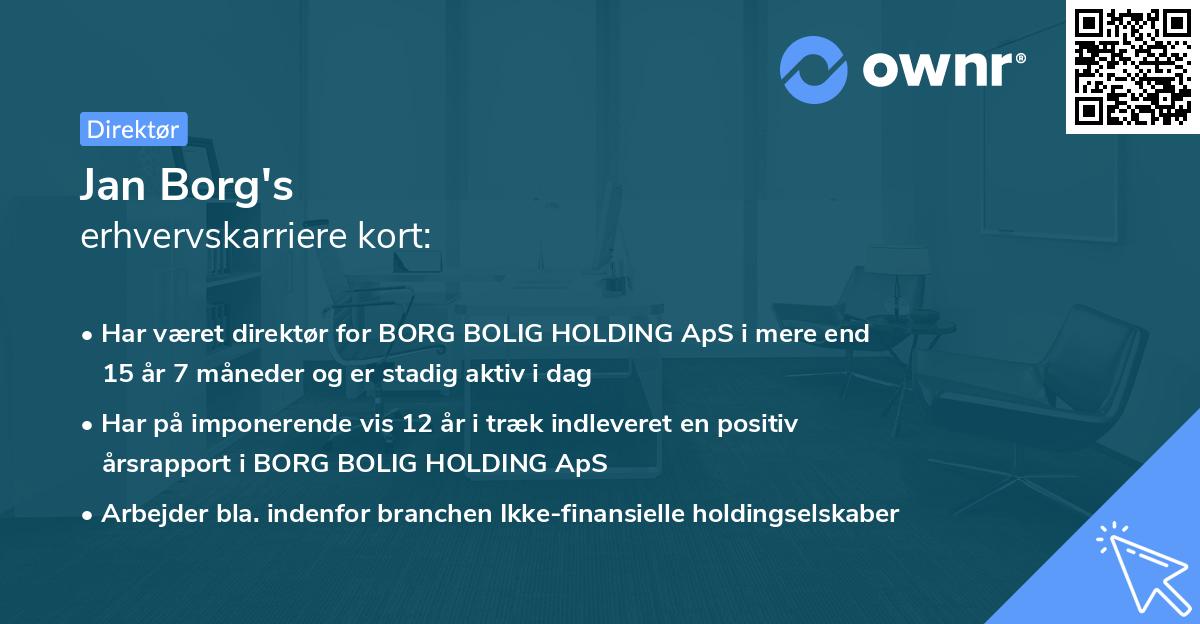 Jan Borg's erhvervskarriere kort