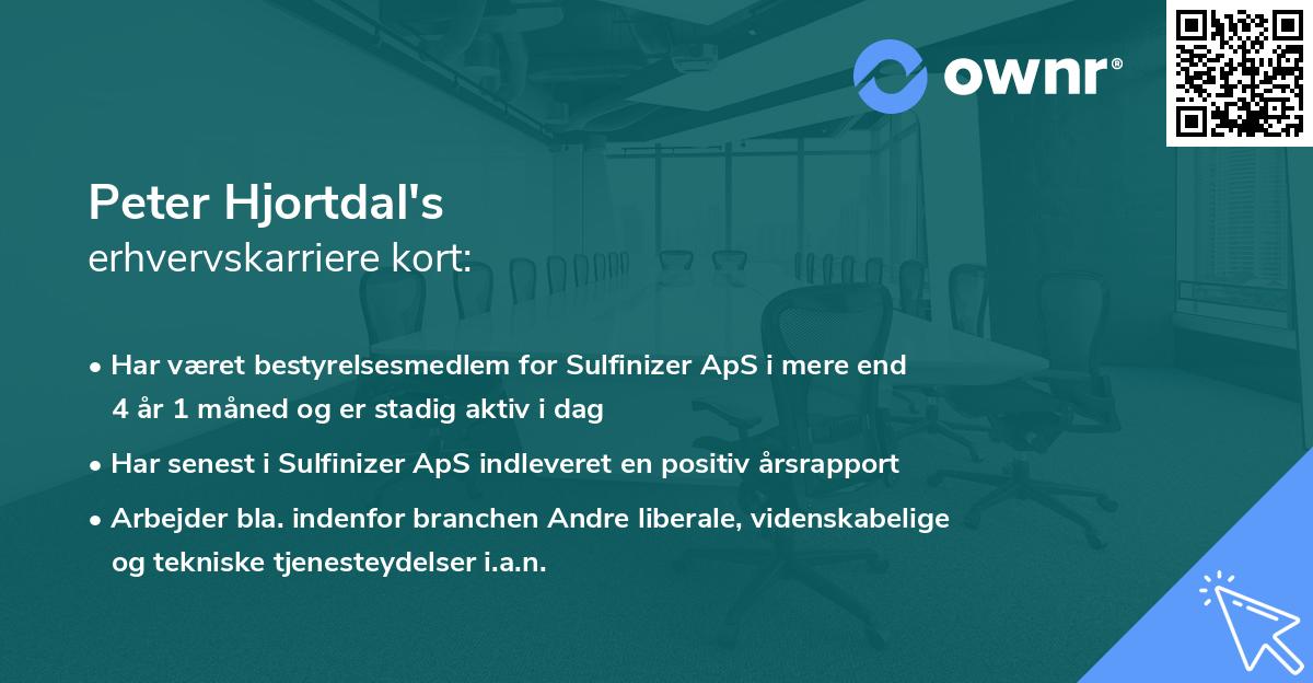 Peter Hjortdal's erhvervskarriere kort