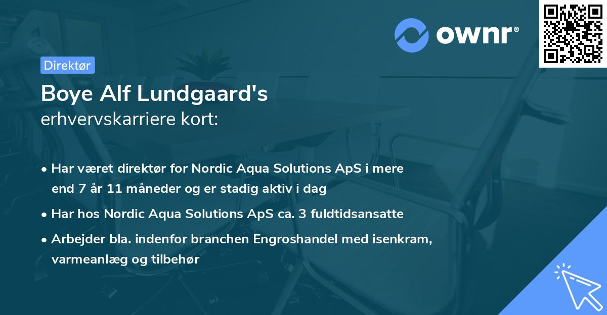 Boye Alf Lundgaard's erhvervskarriere kort