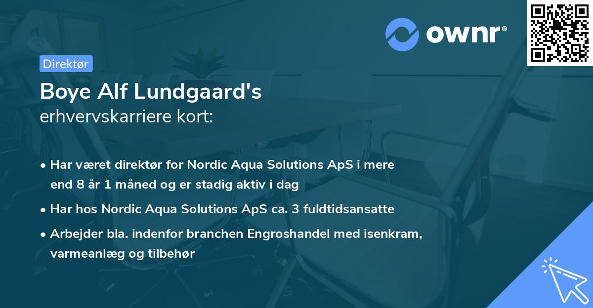 Boye Alf Lundgaard's erhvervskarriere kort