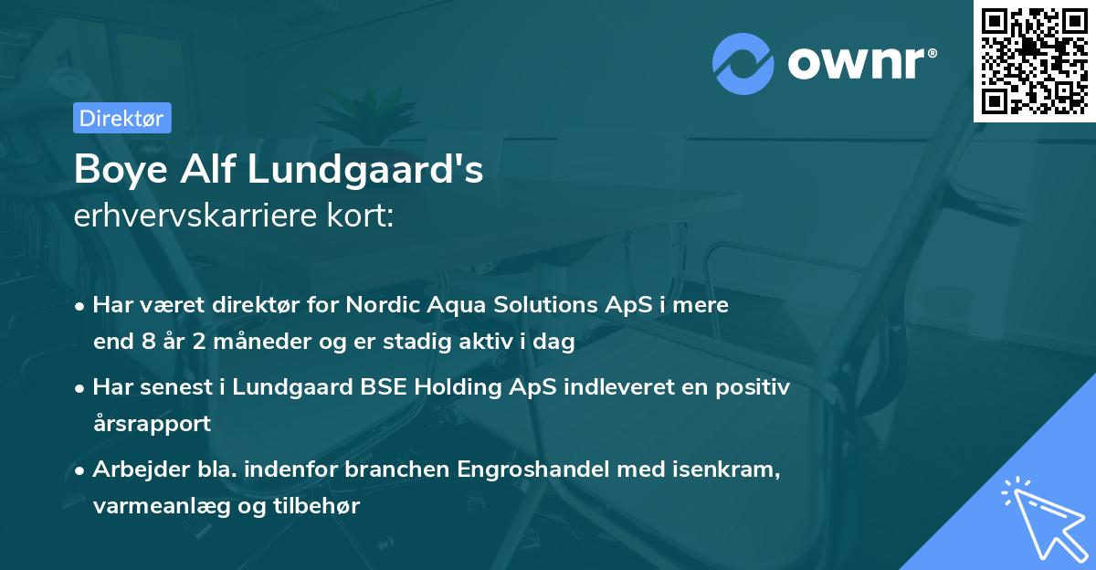 Boye Alf Lundgaard's erhvervskarriere kort