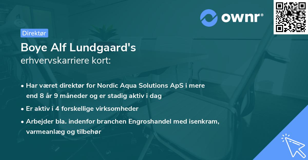 Boye Alf Lundgaard's erhvervskarriere kort