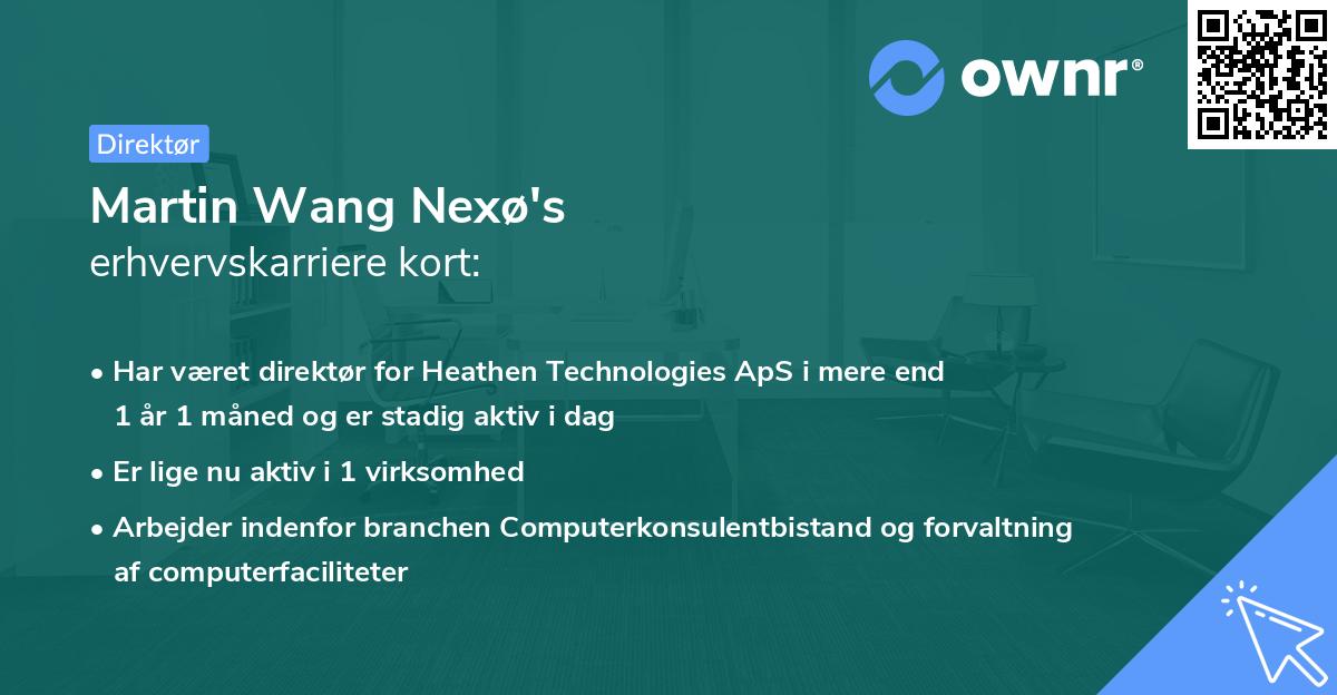 Martin Wang Nexø's erhvervskarriere kort