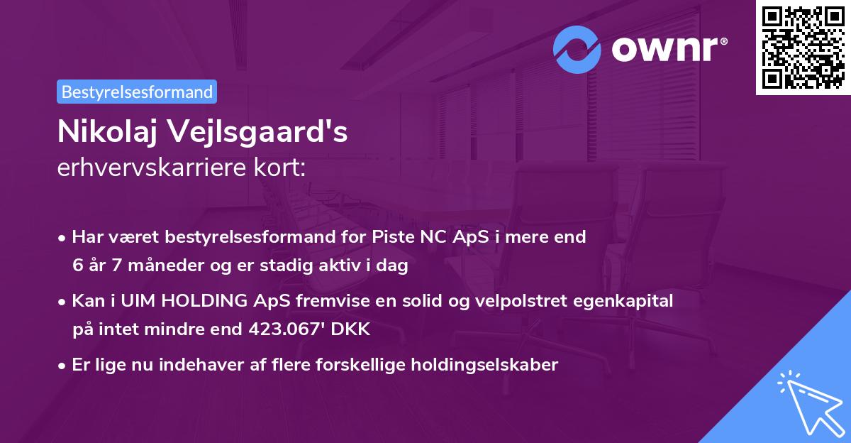 Nikolaj Vejlsgaard's erhvervskarriere kort