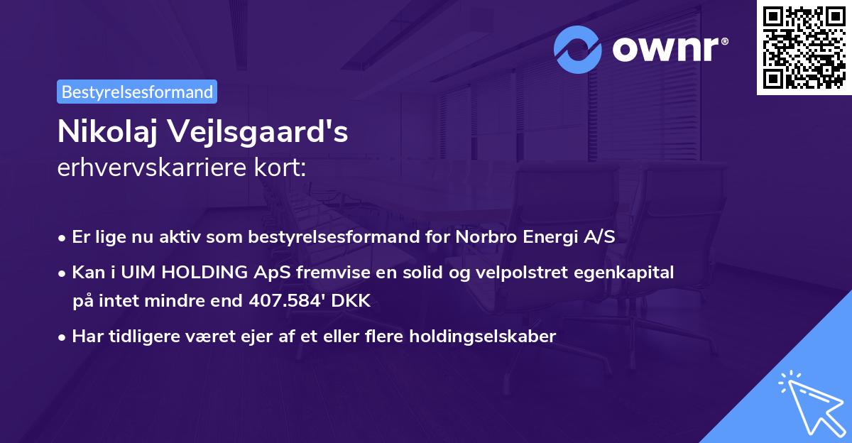 Nikolaj Vejlsgaard's erhvervskarriere kort