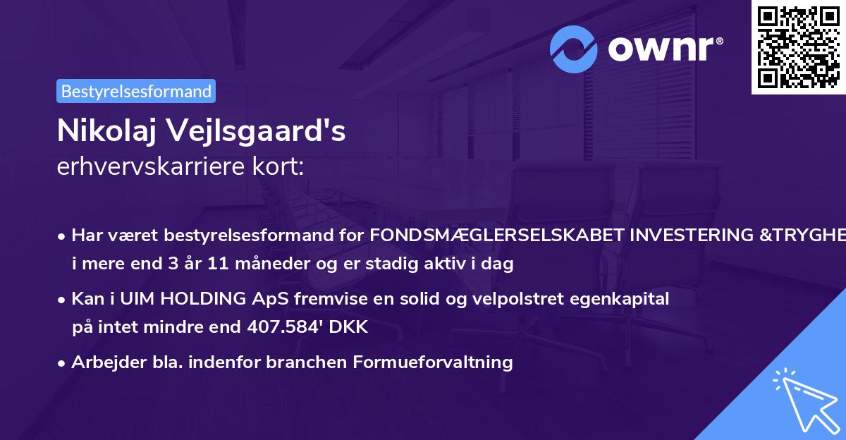 Nikolaj Vejlsgaard's erhvervskarriere kort