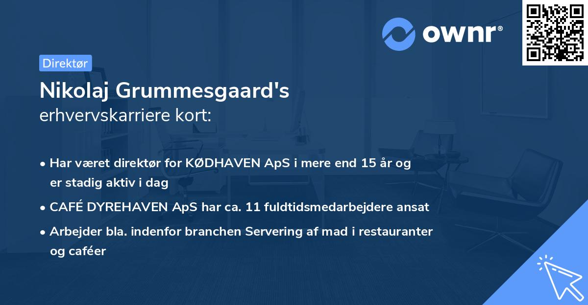 Nikolaj Grummesgaard's erhvervskarriere kort