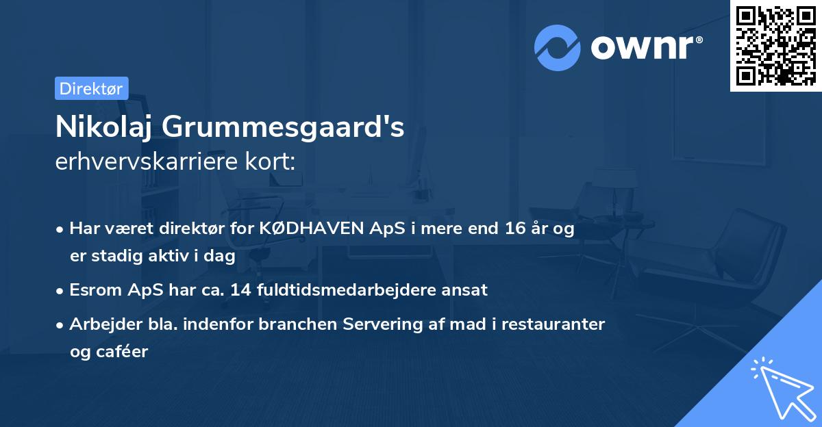 Nikolaj Grummesgaard's erhvervskarriere kort