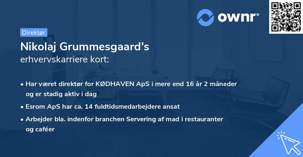 Nikolaj Grummesgaard's erhvervskarriere kort