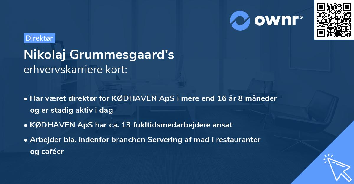 Nikolaj Grummesgaard's erhvervskarriere kort