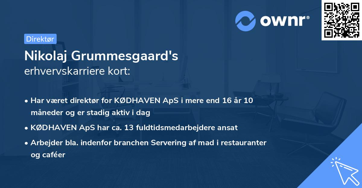 Nikolaj Grummesgaard's erhvervskarriere kort