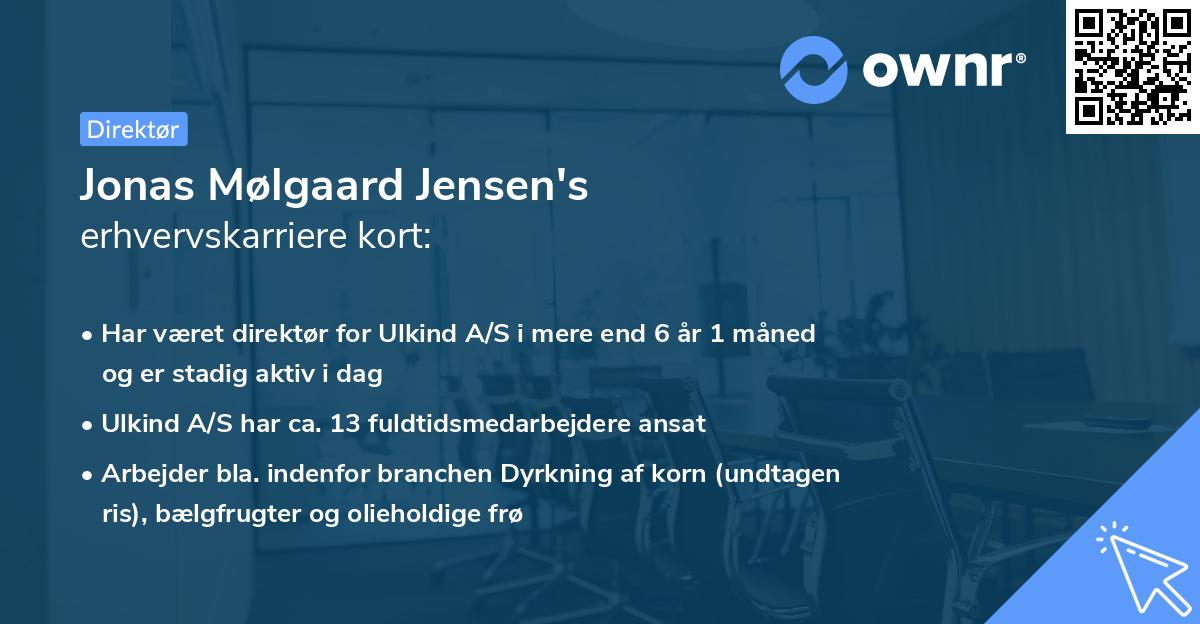 Jonas Mølgaard Jensen's erhvervskarriere kort