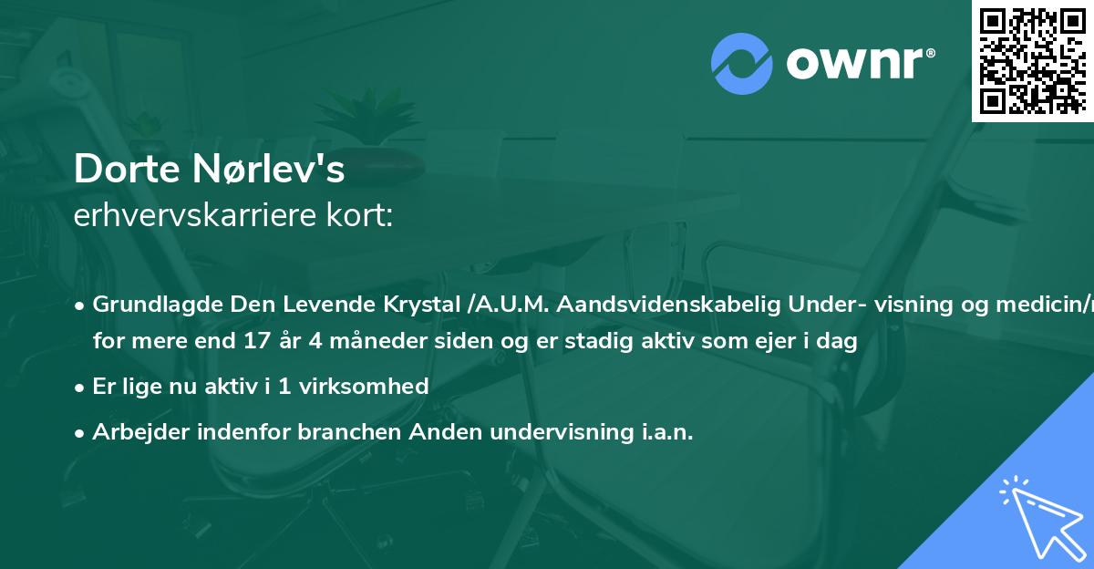 Dorte Nørlev's erhvervskarriere kort