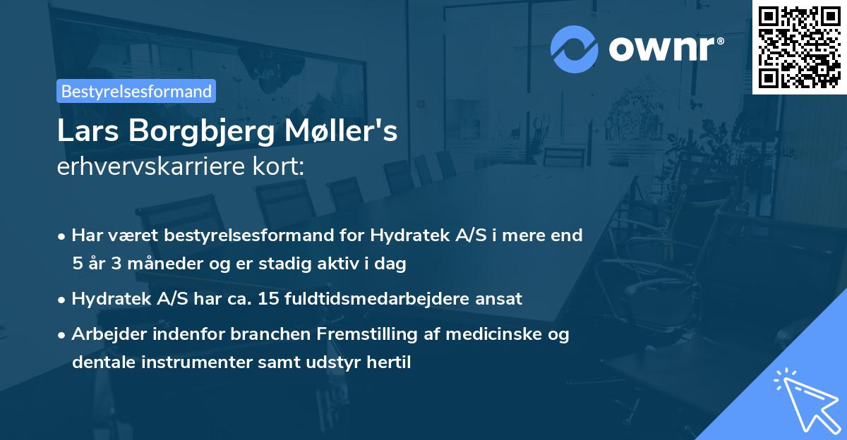 Lars Borgbjerg Møller's erhvervskarriere kort