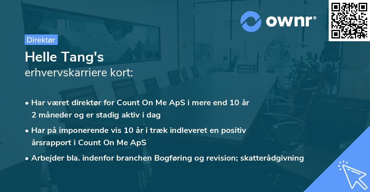 Helle Tang's erhvervskarriere kort