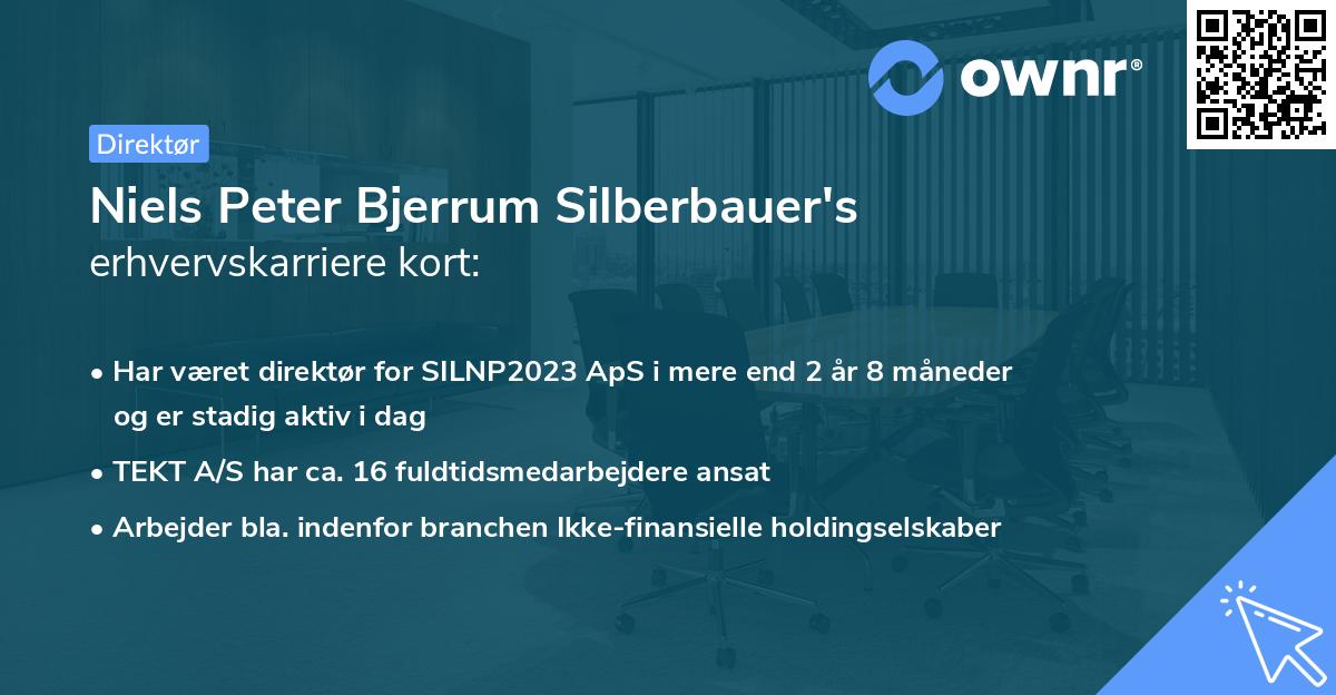 Niels Peter Bjerrum Silberbauer's erhvervskarriere kort