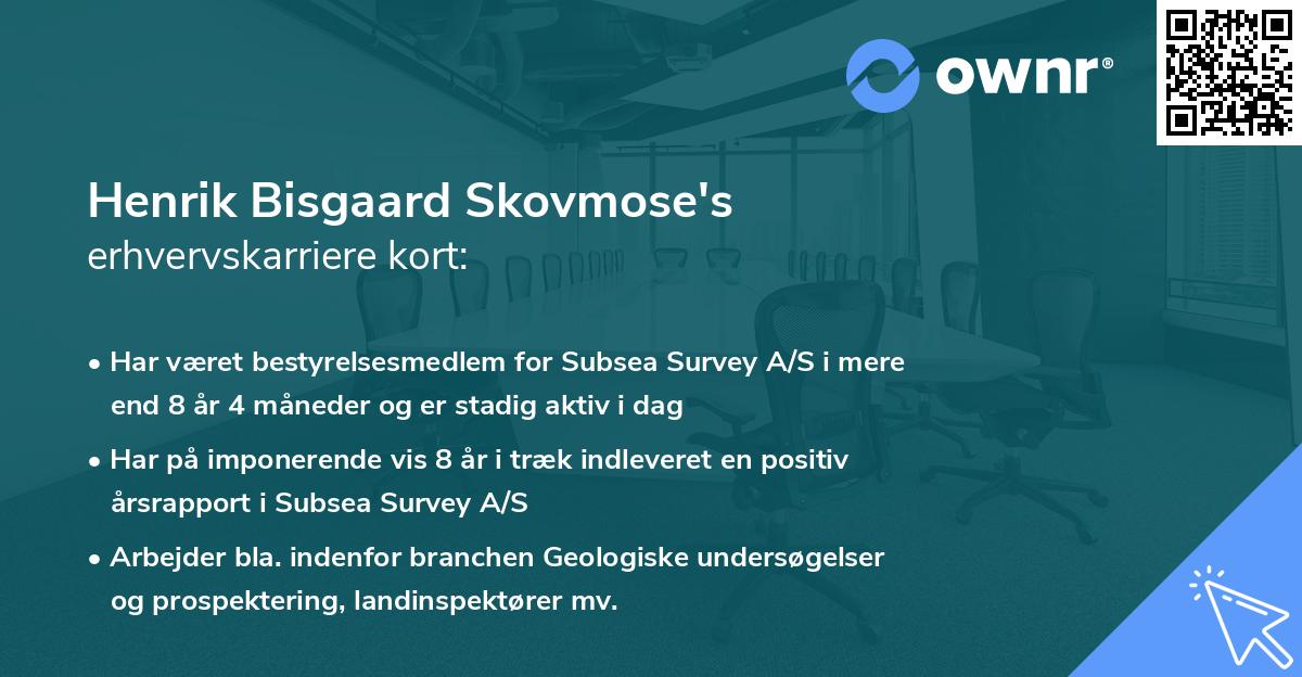 Henrik Bisgaard Skovmose's erhvervskarriere kort