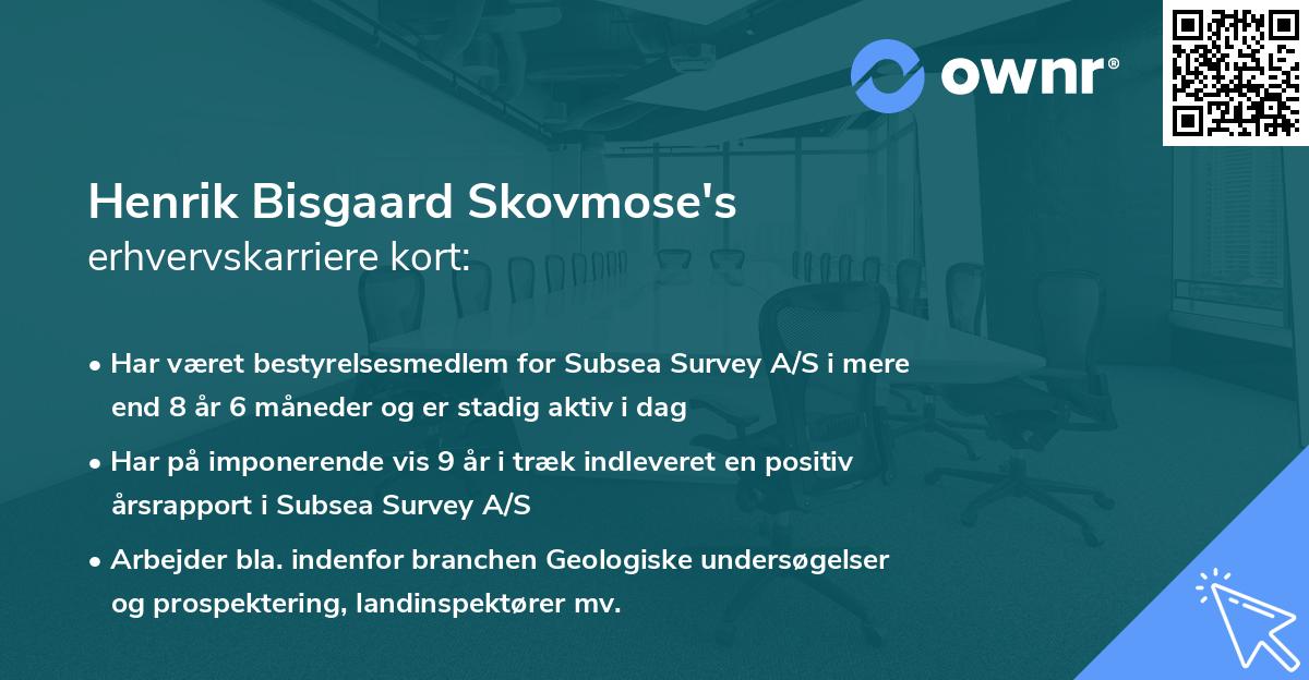 Henrik Bisgaard Skovmose's erhvervskarriere kort