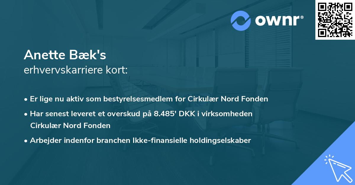 Anette Bæk's erhvervskarriere kort