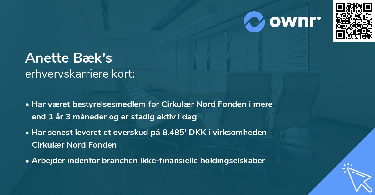 Anette Bæk's erhvervskarriere kort