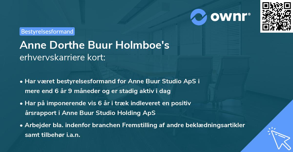 Anne Dorthe Buur Holmboe's erhvervskarriere kort