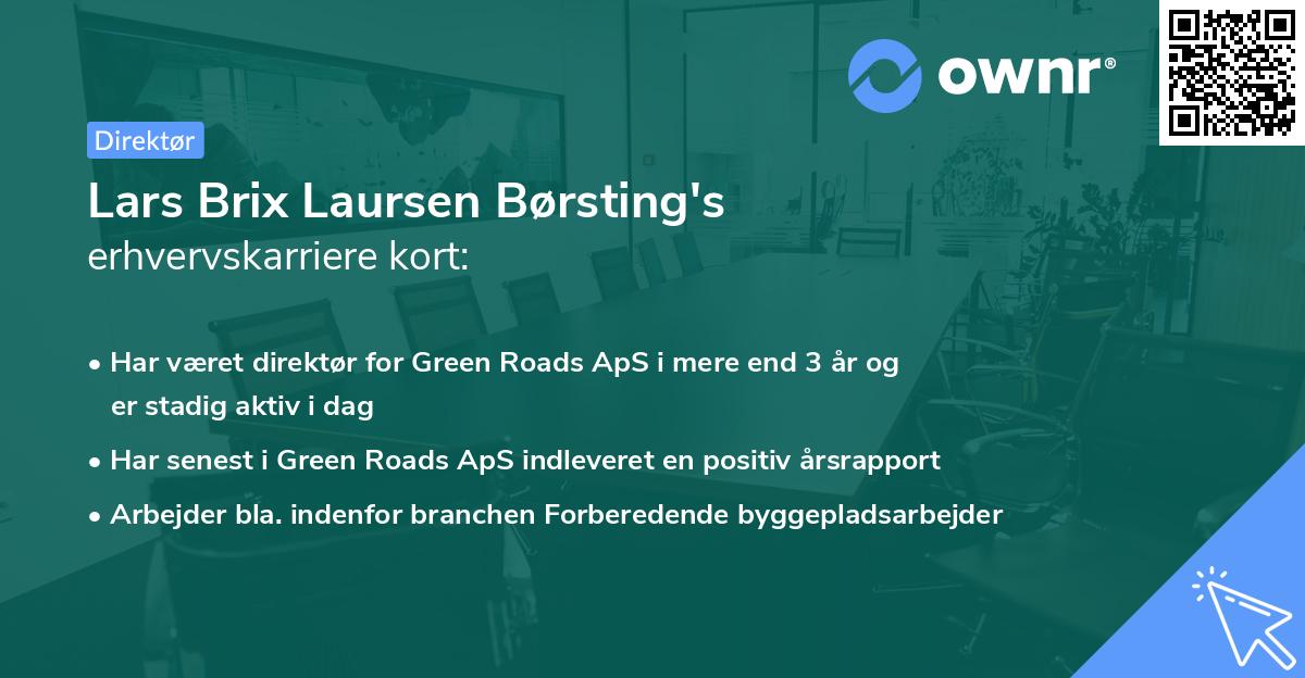 Lars Brix Laursen Børsting's erhvervskarriere kort