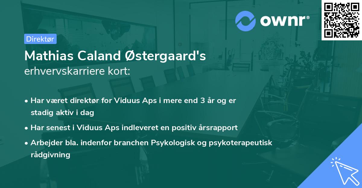 Mathias Caland Østergaard's erhvervskarriere kort