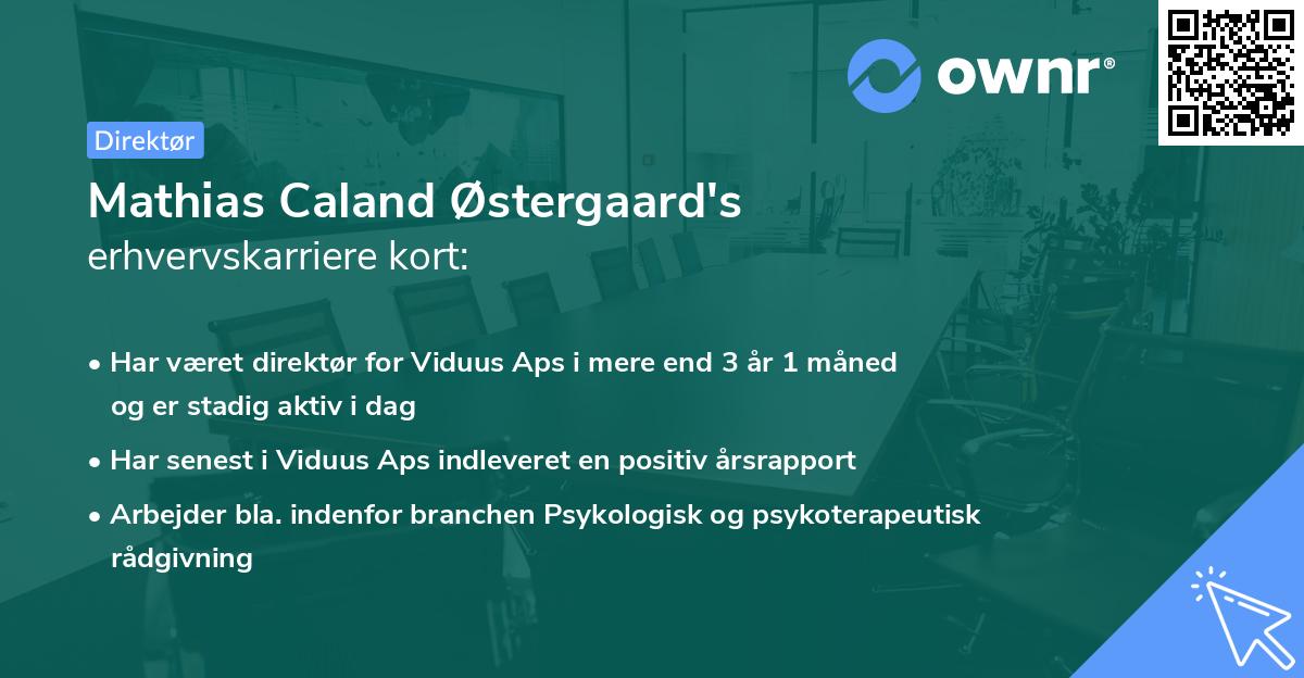 Mathias Caland Østergaard's erhvervskarriere kort