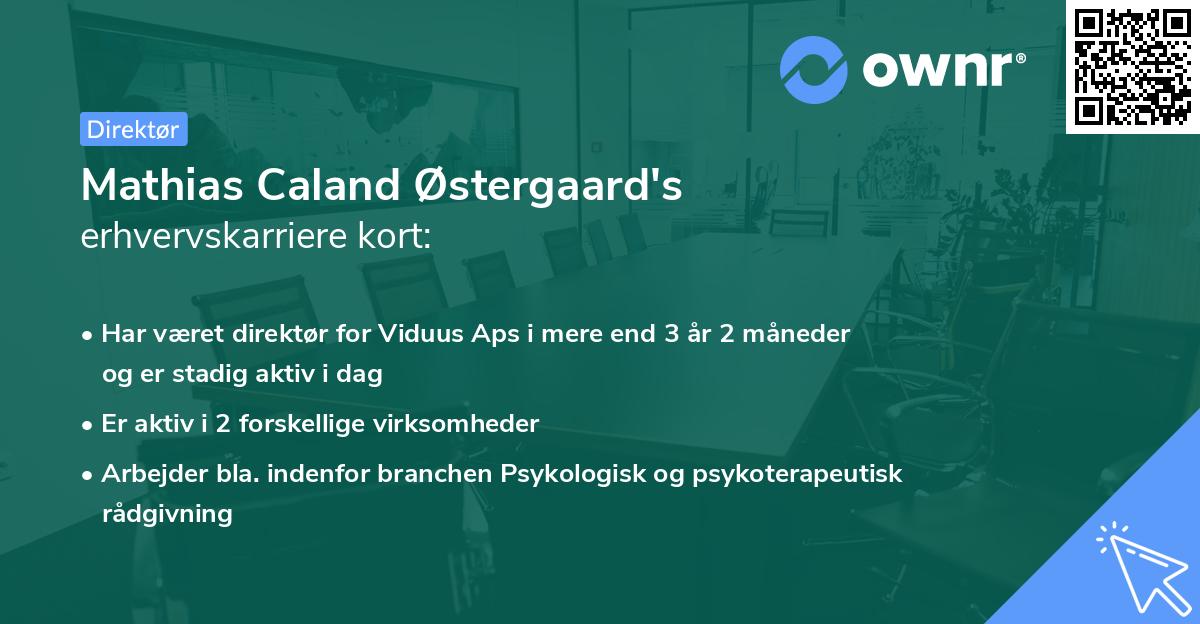 Mathias Caland Østergaard's erhvervskarriere kort
