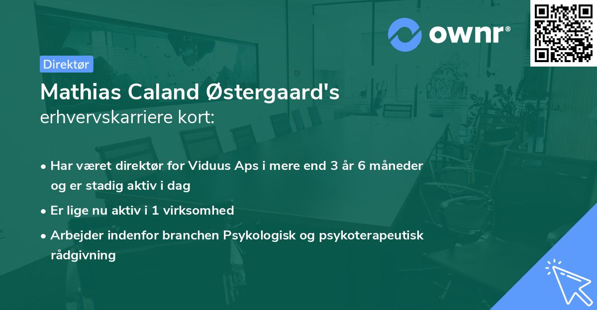 Mathias Caland Østergaard's erhvervskarriere kort