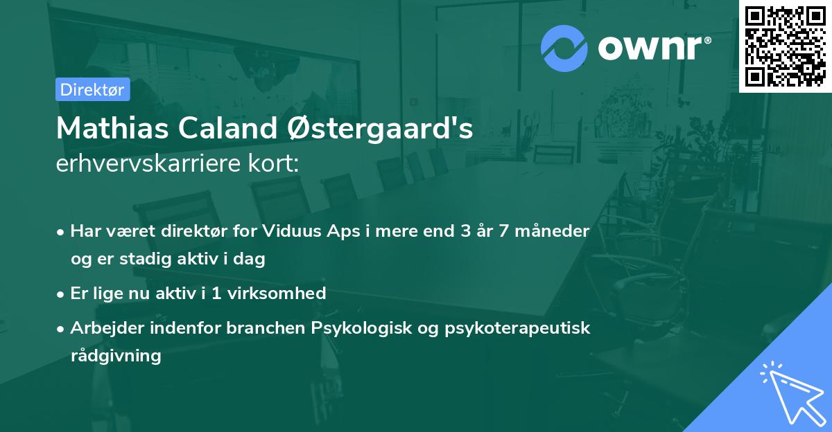 Mathias Caland Østergaard's erhvervskarriere kort