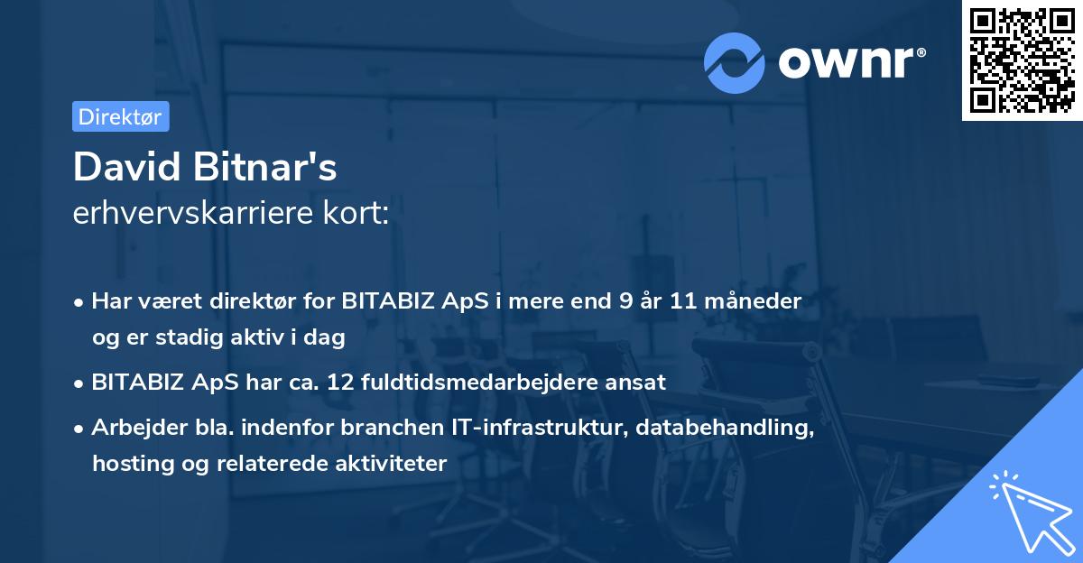 David Bitnar's erhvervskarriere kort