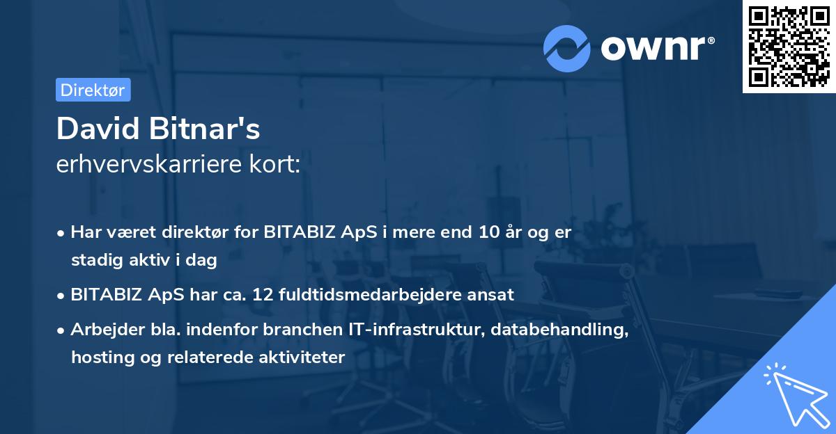 David Bitnar's erhvervskarriere kort