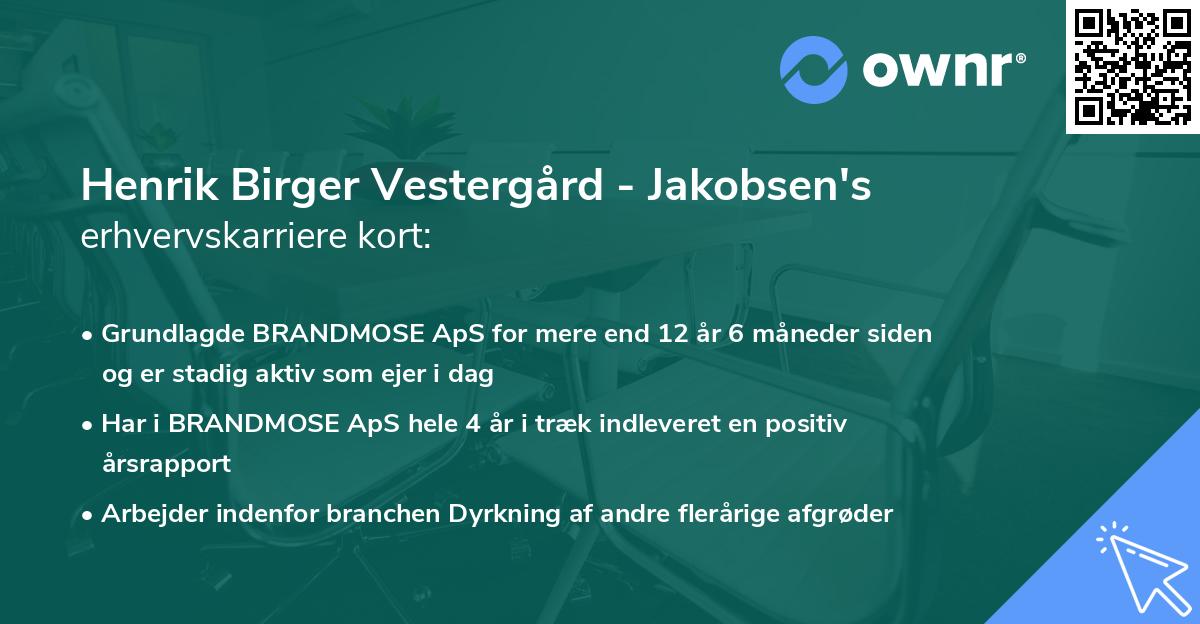Henrik Birger Vestergård - Jakobsen's erhvervskarriere kort