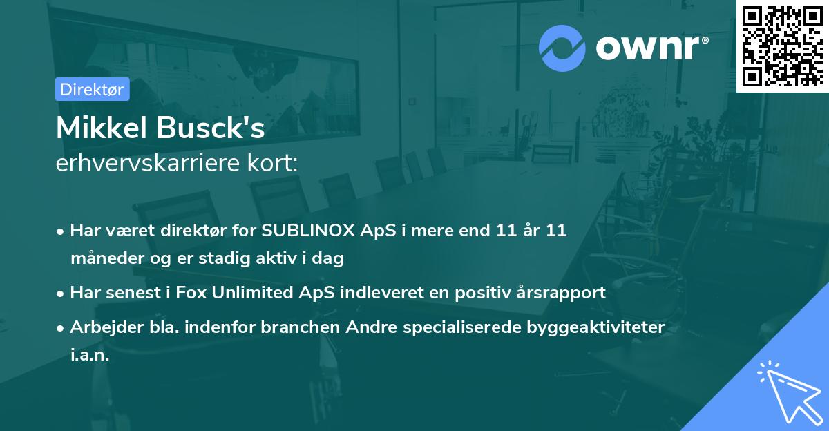 Mikkel Busck's erhvervskarriere kort
