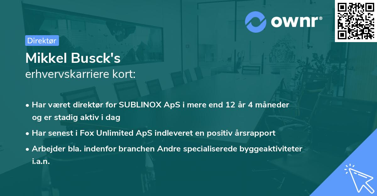 Mikkel Busck's erhvervskarriere kort