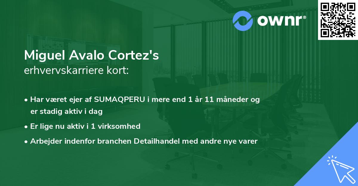 Miguel Avalo Cortez's erhvervskarriere kort