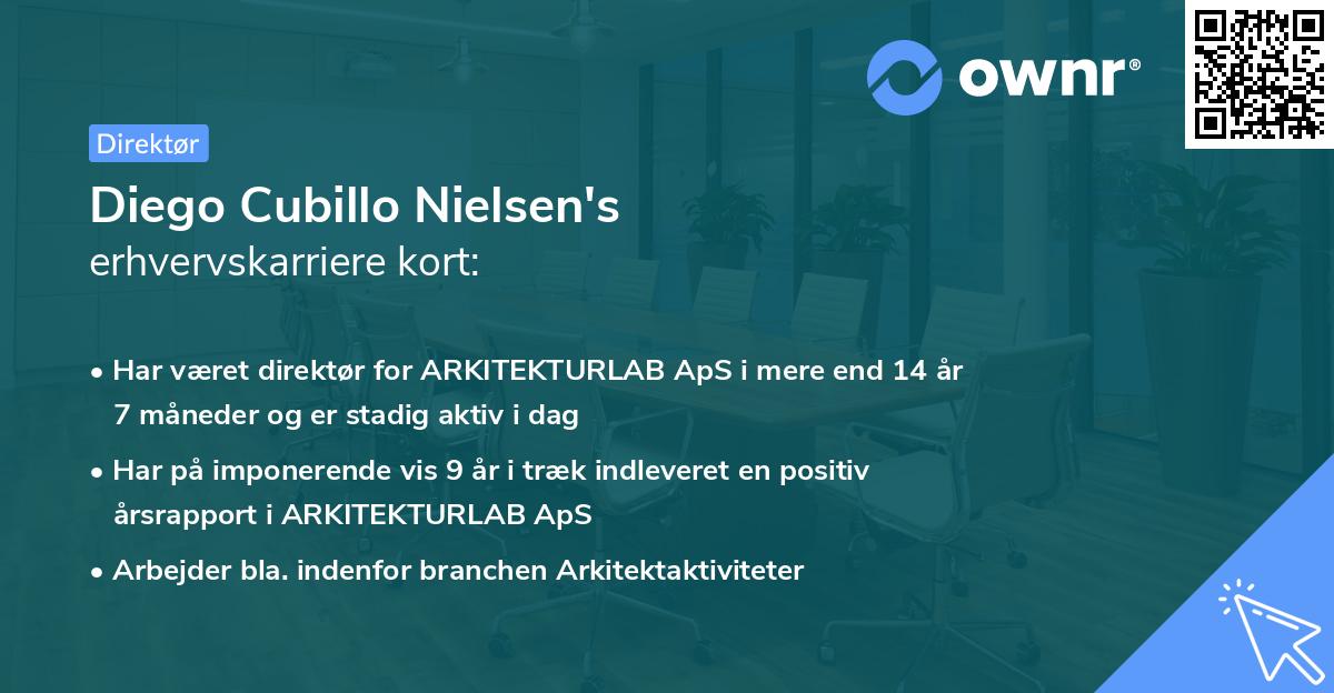 Diego Cubillo Nielsen's erhvervskarriere kort