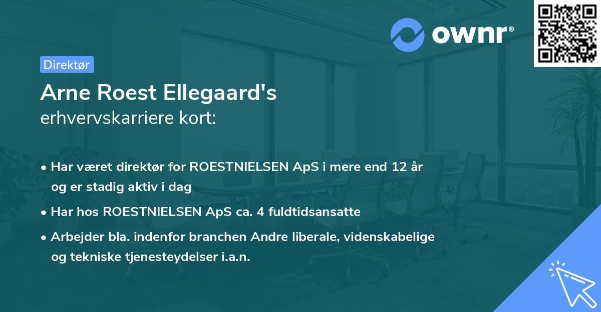 Arne Roest Ellegaard's erhvervskarriere kort