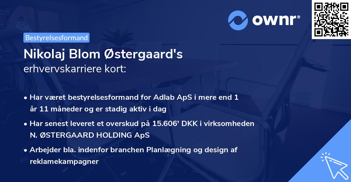 Nikolaj Blom Østergaard's erhvervskarriere kort