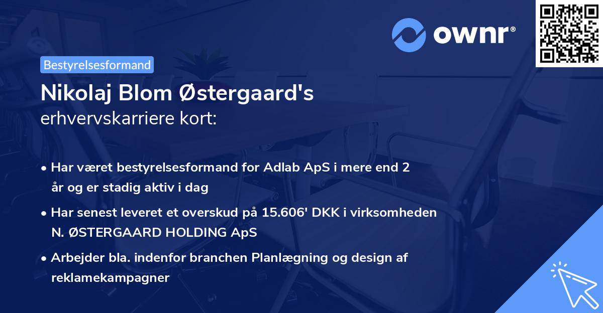 Nikolaj Blom Østergaard's erhvervskarriere kort