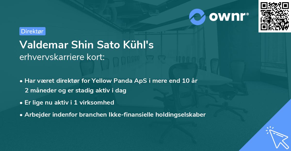 Valdemar Shin Sato Kühl's erhvervskarriere kort
