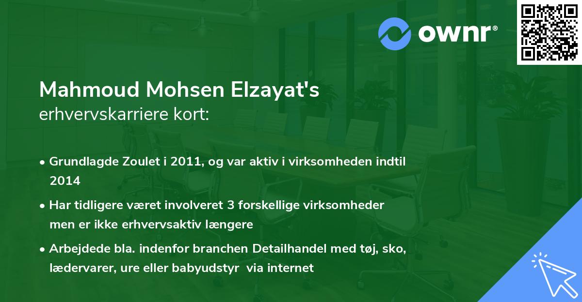 Mahmoud Mohsen Elzayat's erhvervskarriere kort