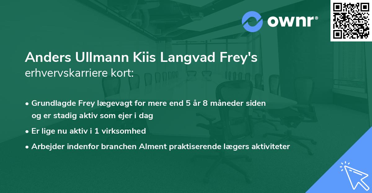 Anders Ullmann Kiis Langvad Frey's erhvervskarriere kort